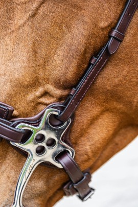 Dy'on Hackamore Noseband Brown | New English Collection | Shop now Dy'on Hackamore Noseband Brown | New English Collection | Shop now