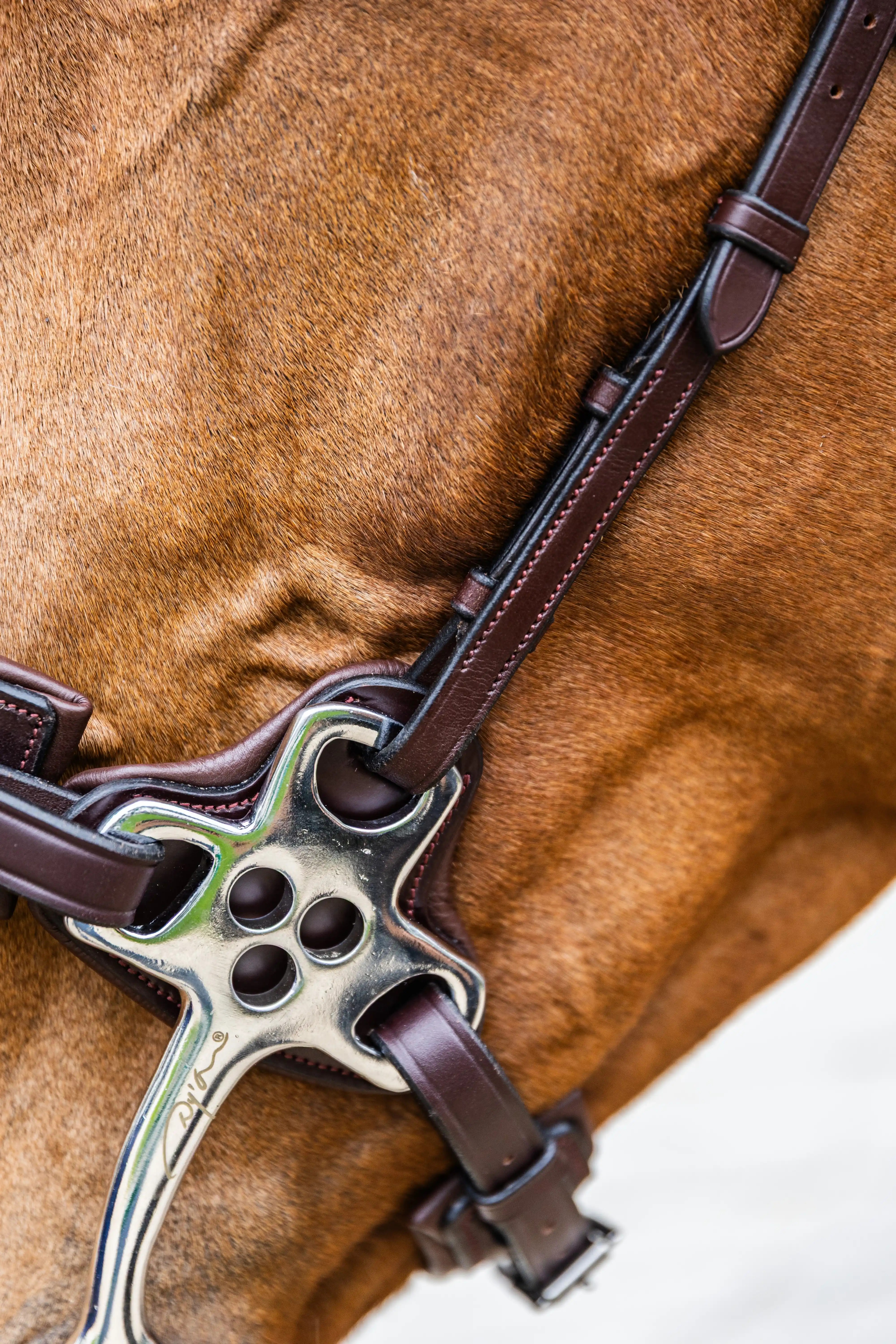 Dy'on Hackamore Noseband Brown | New English Collection | Shop now Dy'on Hackamore Noseband Brown | New English Collection | Shop now