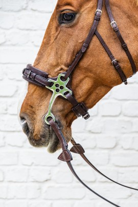 Dy'on Hackamore Noseband Brown | New English Collection | Shop now Dy'on Hackamore Noseband Brown | New English Collection | Shop now