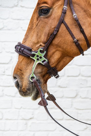Dy'on Hackamore Noseband Brown | New English Collection | Shop now Dy'on Hackamore Noseband Brown | New English Collection | Shop now