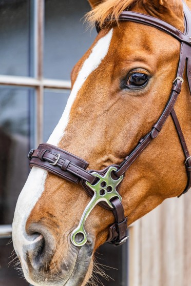 Dy'on Hackamore Noseband Brown | New English Collection | Shop now Dy'on Hackamore Noseband Brown | New English Collection | Shop now