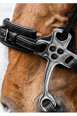 Dy'on Hackamore Neusriem Zwart | New English Collection | Shop nu Dy'on Hackamore Neusriem Zwart | New English Collection | Shop nu