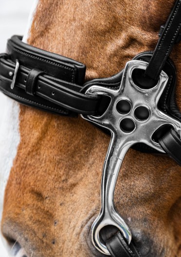 Dy'on Hackamore Neusriem Zwart | New English Collection | Shop nu Dy'on Hackamore Neusriem Zwart | New English Collection | Shop nu