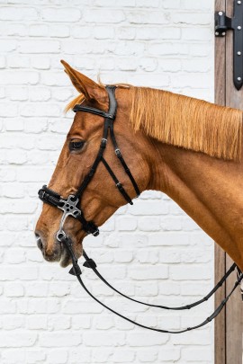 Dy'on Hackamore Neusriem Zwart | New English Collection | Shop nu Dy'on Hackamore Neusriem Zwart | New English Collection | Shop nu