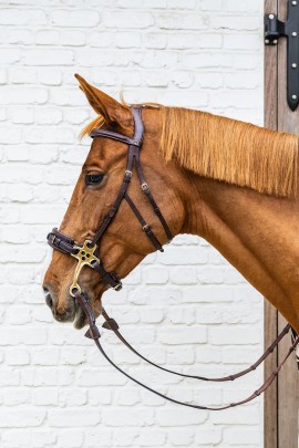 Dy'on Hackamore Noseband Brown | Dy'on Collection | Shop now Dy'on Hackamore Noseband Brown | Dy'on Collection | Shop now