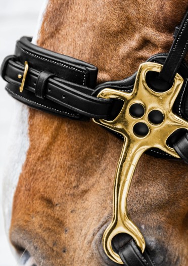 Dy'on Hackamore Neusriem Zwart | Dy'on Collection | Shop nu