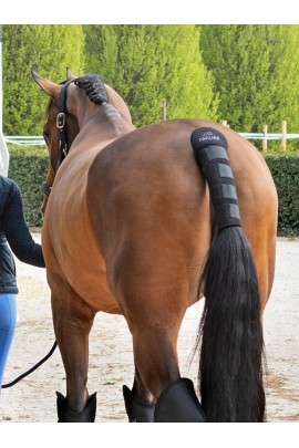 Equiline Staart Beschermer Noll