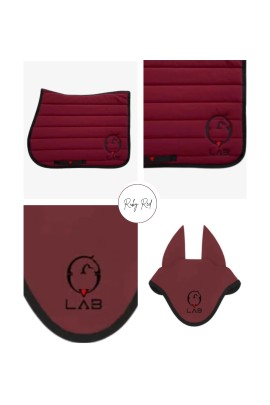 Vestrum Set LAB Pegasus zadeldekje & Gacrux Oornetje Springen Ruby Red | Shop Nu Vestrum Set LAB Pegasus zadeldekje & Gacrux Oornetje Springen Ruby Red | Shop Nu