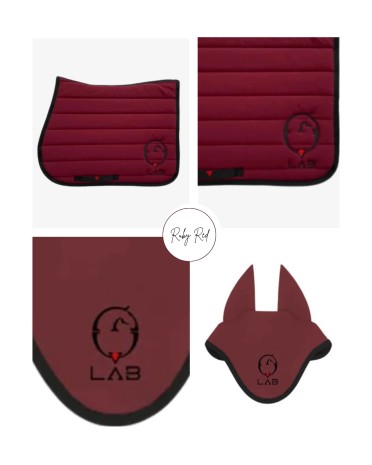 Vestrum Set LAB Pegasus zadeldekje & Gacrux Oornetje Springen Ruby Red | Shop Nu Vestrum Set LAB Pegasus zadeldekje & Gacrux Oornetje Springen Ruby Red | Shop Nu