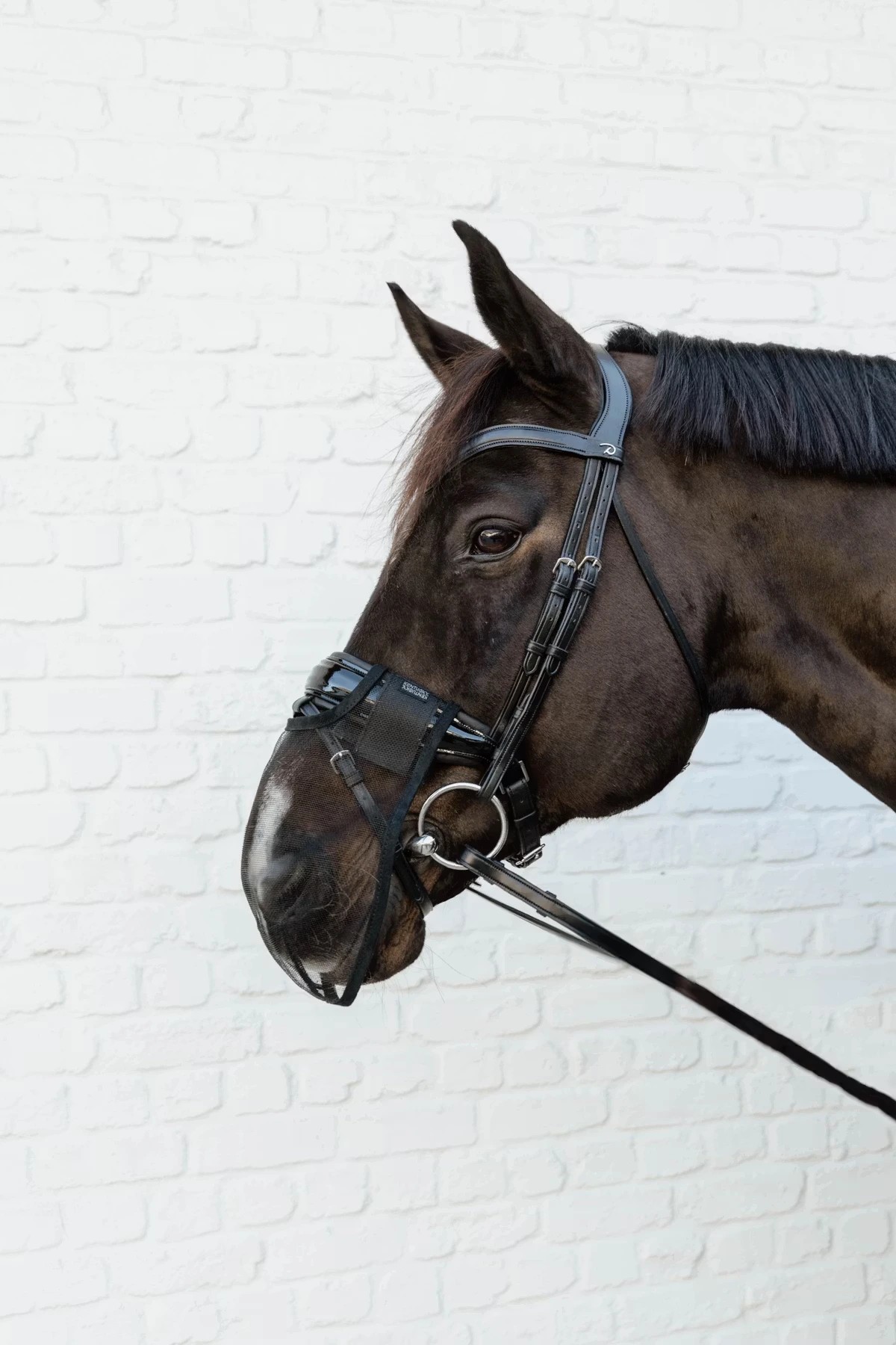 Kentucky Anti Fly Nose Net Black for pollen | Shop now Kentucky Anti Fly Nose Net Black for pollen | Shop now