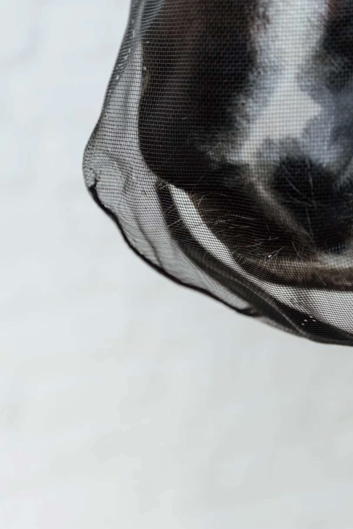 Kentucky Anti Fly Nose Net Black for pollen | Shop now Kentucky Anti Fly Nose Net Black for pollen | Shop now
