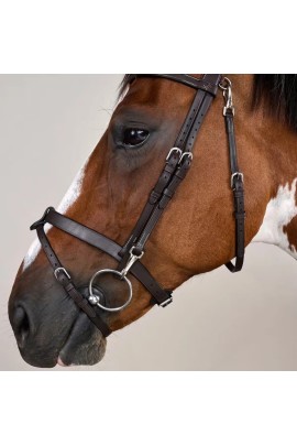 Dyon Flat Leather Bridle With Snap Hooks 'Working Collection'. Trainings Hoofdstel Dyon Flat Leather Bridle With Snap Hooks 'Working Collection'. Trainings Hoofdstel