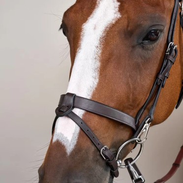 Dyon Flat Leather Bridle With Snap Hooks 'Working Collection'. Trainings Hoofdstel Dyon Flat Leather Bridle With Snap Hooks 'Working Collection'. Trainings Hoofdstel