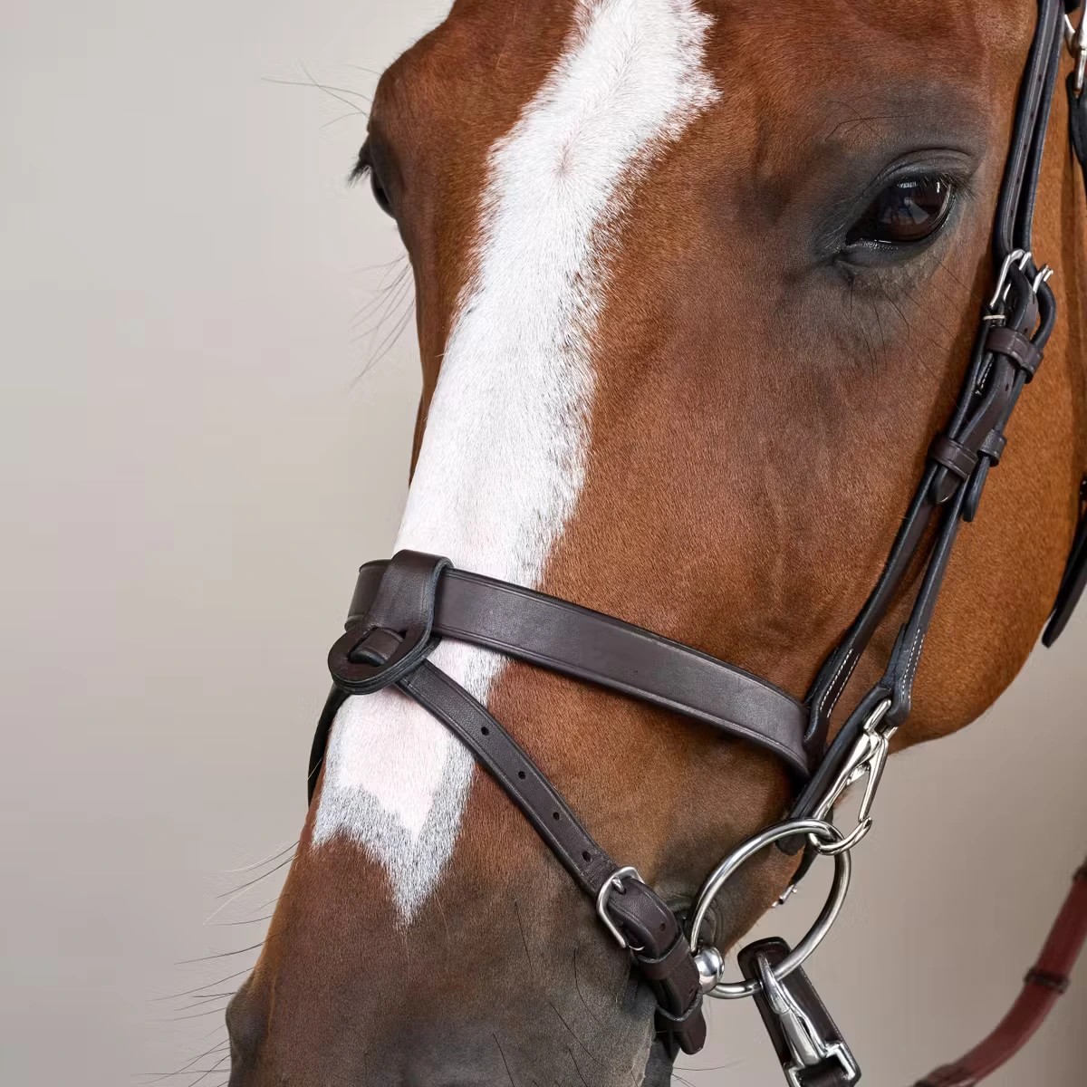 Dyon Flat Leather Bridle With Snap Hooks 'Working Collection'. Trainings Hoofdstel Dyon Flat Leather Bridle With Snap Hooks 'Working Collection'. Trainings Hoofdstel