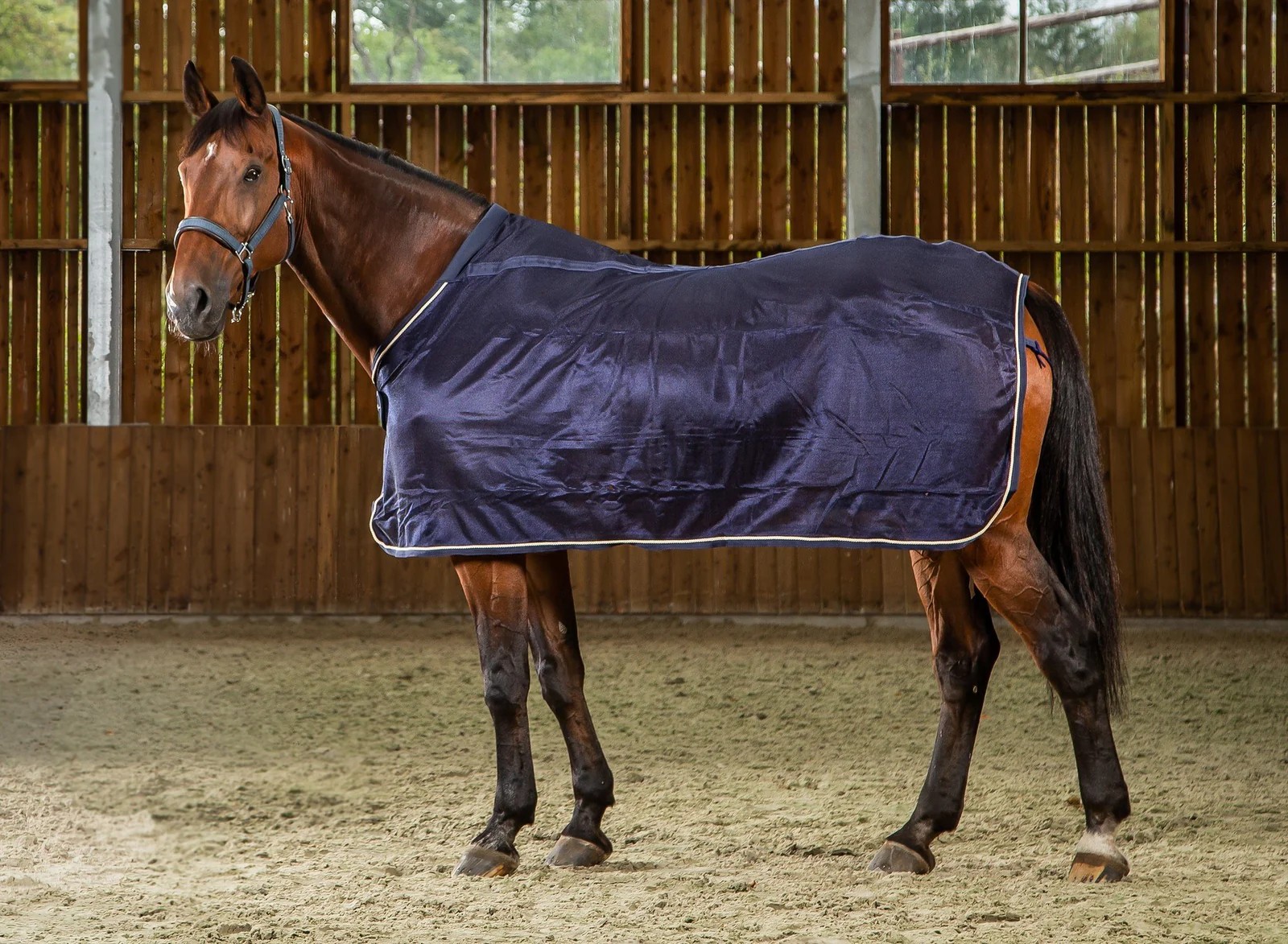 Dy’on Vliegendeken Navy | Bescherming & Comfort | Bestel Nu