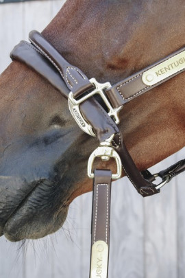 Kentucky Presentatielijn Leder Kentucky Presentatielijn Leder