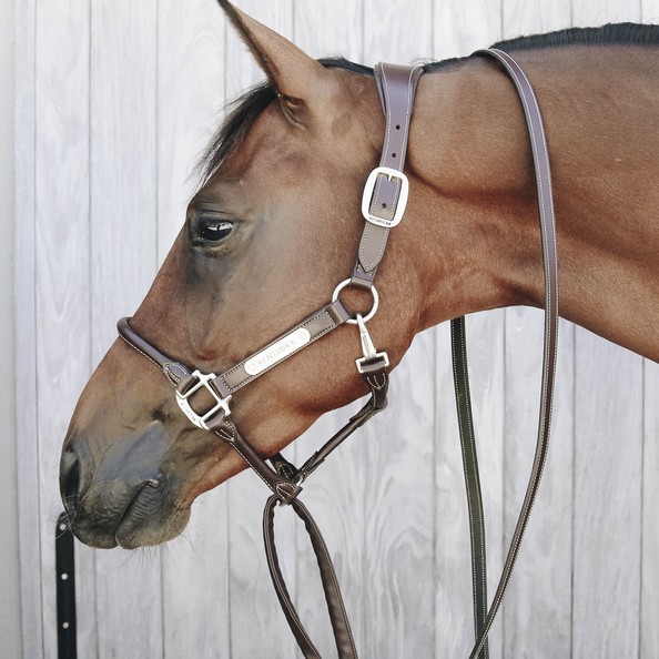 Kentucky Presentatielijn Leder Kentucky Presentatielijn Leder