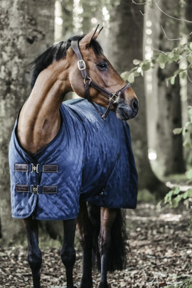 Kentucky Horsewear Stable Rug 0GR Kentucky Horsewear Stable Rug 0GR