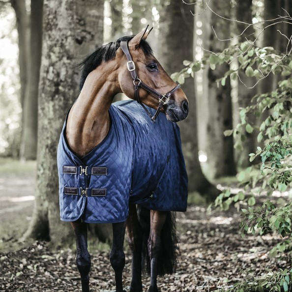 Kentucky Horsewear Stable Rug 0GR Kentucky Horsewear Stable Rug 0GR