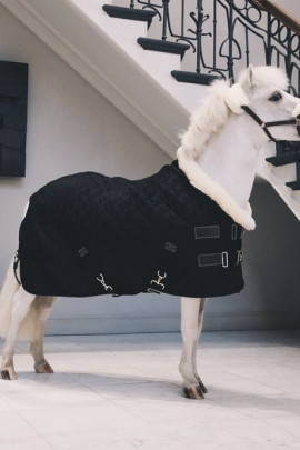 Kentucky Horsewear Show Rug Tiny Kentucky Horsewear Show Rug Tiny