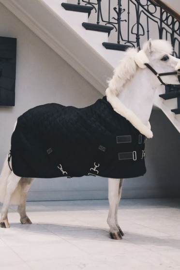 Kentucky Horsewear Show Rug Tiny Kentucky Horsewear Show Rug Tiny