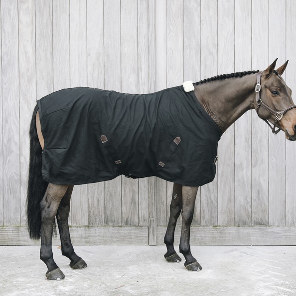 Kentucky Horsewear Cotton Sheet Kentucky Horsewear Cotton Sheet