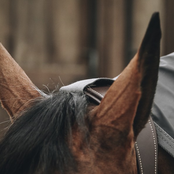 Kentucky Horsewear Horse Rain Coat 100% Waterproof Kentucky Horsewear Horse Rain Coat 100% Waterproof