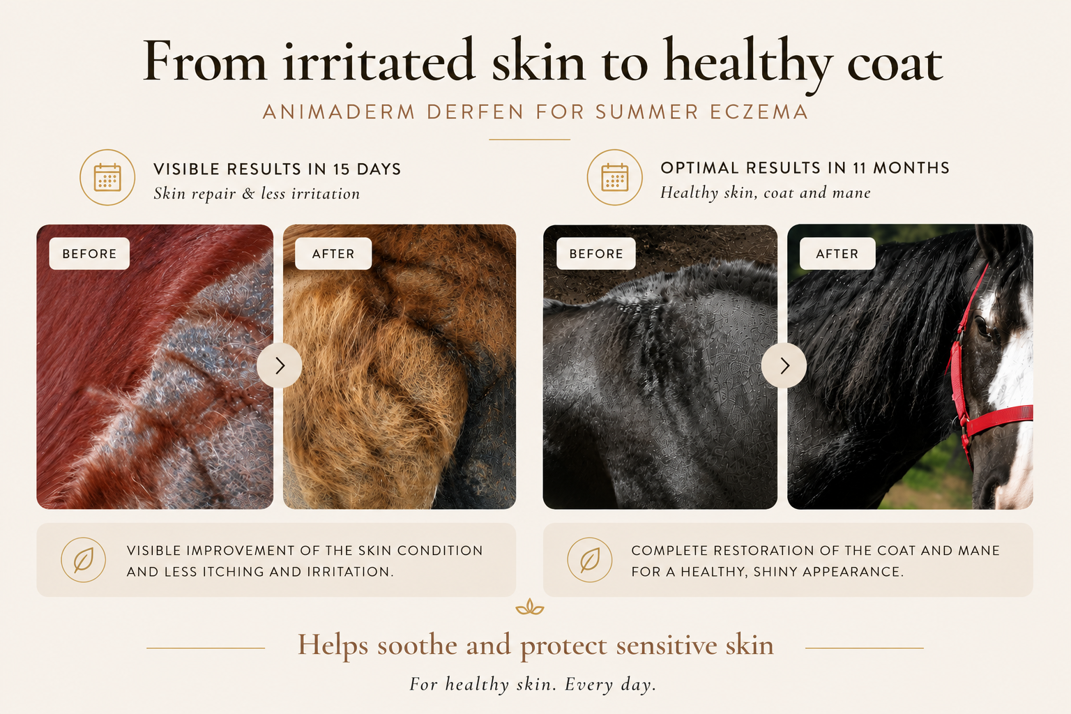 Animaderm Derfen Original Lotion Summer Eczema Results