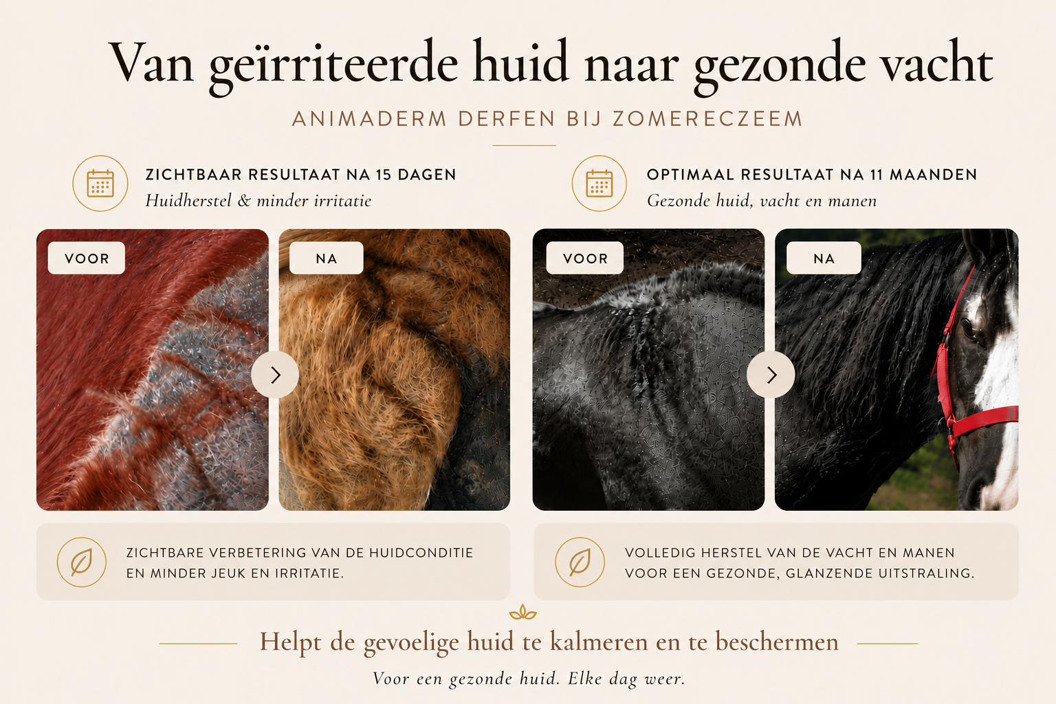 Animaderm Derfen Original Lotion Zomereczeem Resultaat