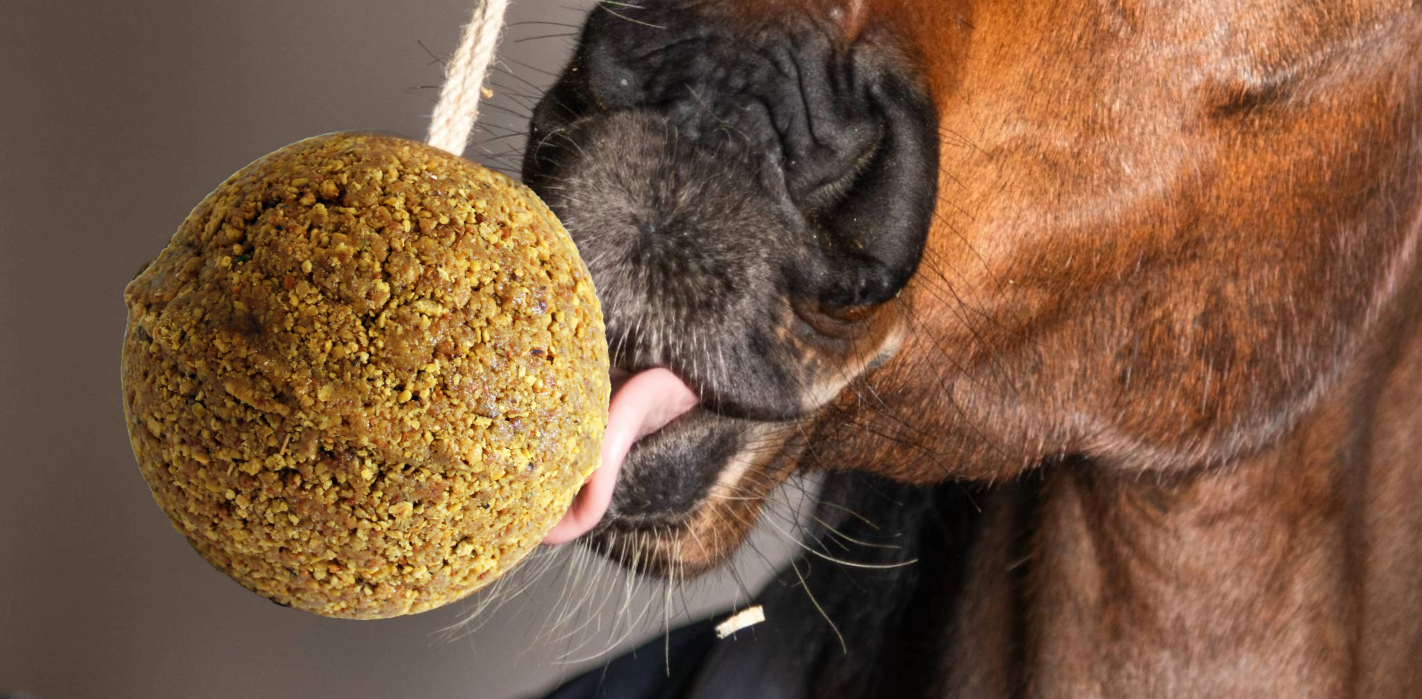 Horse licking a Unika Ball
